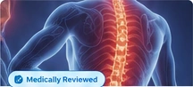 Medical illustration of the spine